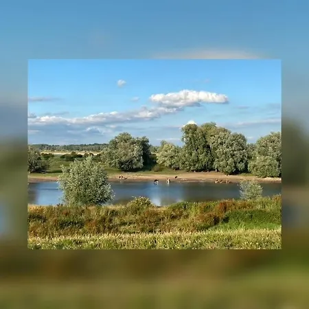 Bed & Breakfast Betuws Genieten 3*