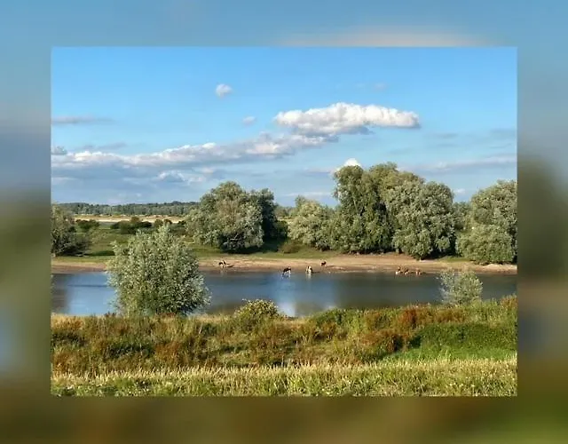 Bed & Breakfast Betuws Genieten 3*